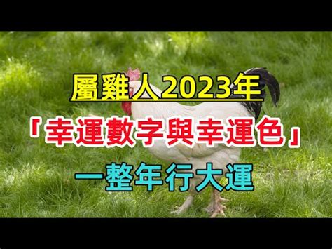 1969屬雞2023幸運色|【1969 屬雞2023 幸運色】1969年屬雞人2023年忌諱色 